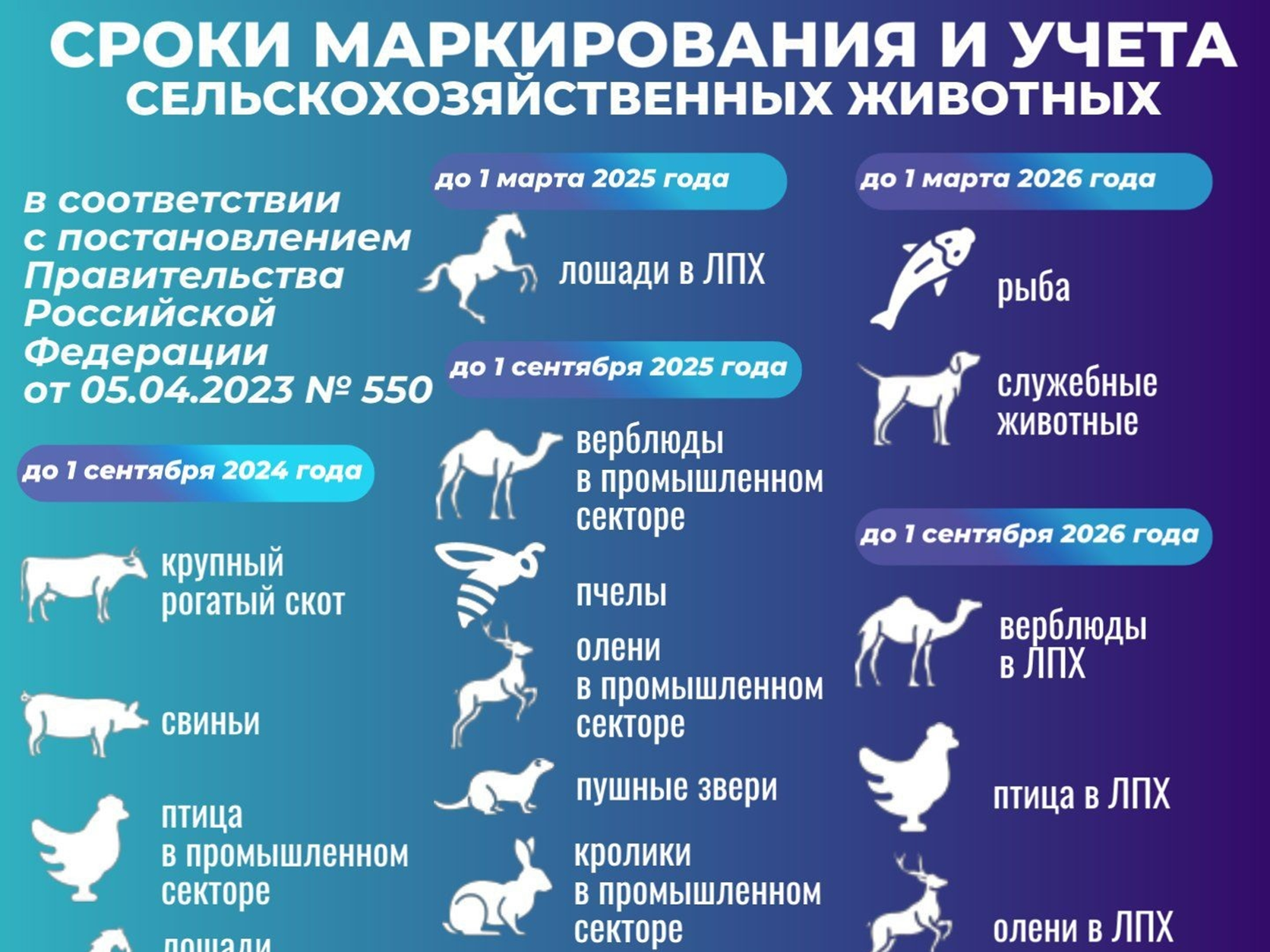 С 1 марта 2024 года введено обязательное маркирование и учет сельскохозяйственных животных.