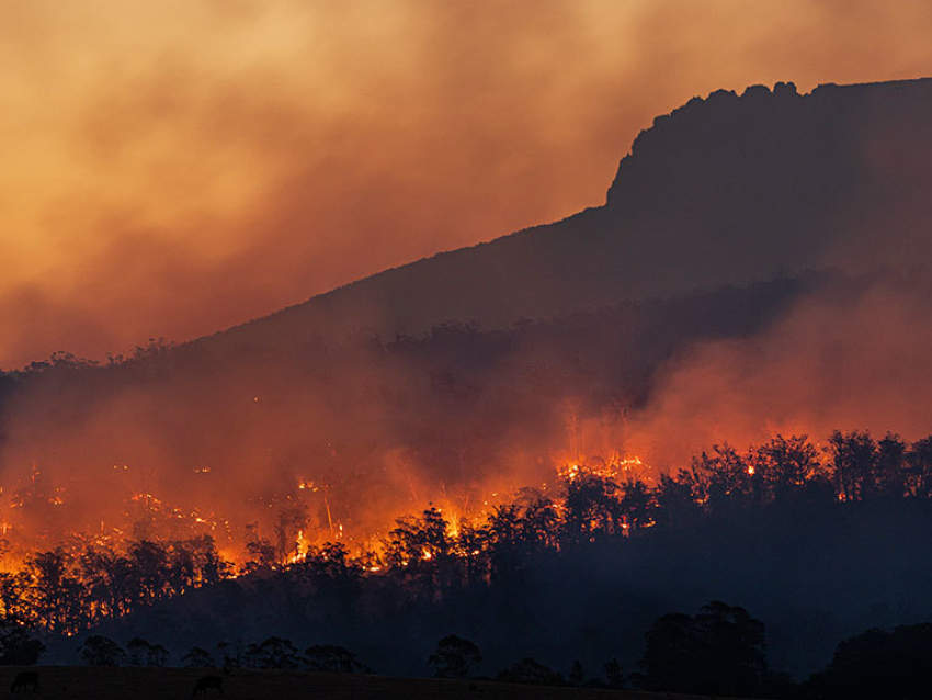 На Дальнем Востоке с начала пожароопасного сезона зарегистрировано свыше 1,8 тыс. лесных пожаров..