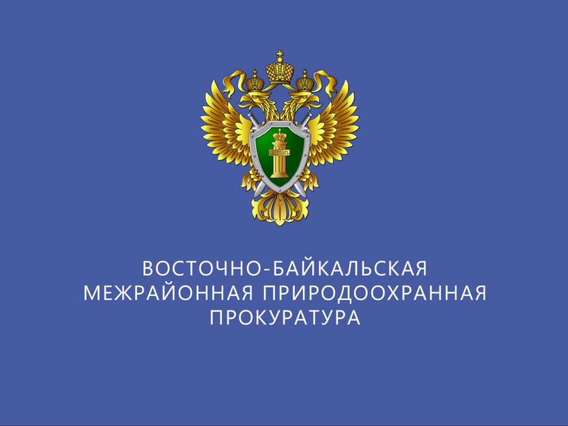 Восточно-Байкальская межрайонная природоохранная прокуратура разъясняет..