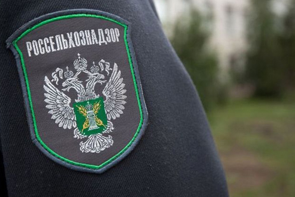 Как ввести в оборот земли сельскохозяйственного назначения, на которых произрастает лес?.
