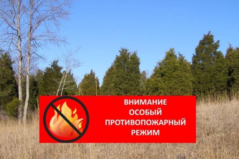 С 8 апреля введен особый противопожарный режим.